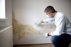 Best Air Quality Testing for Mold Spores  in San Rafael, NM